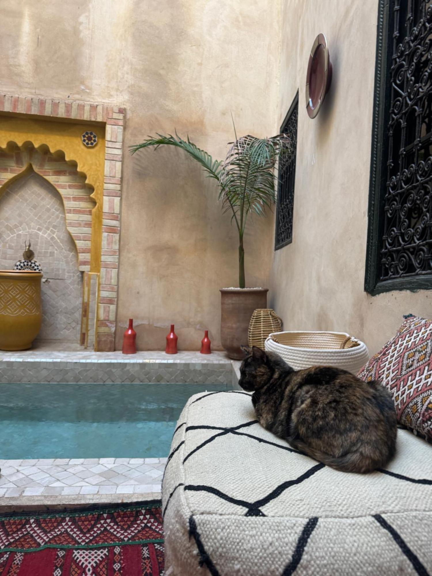 Riad Paquerette Marrakesh Ngoại thất bức ảnh